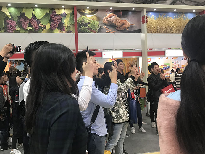 互動游戲,大屏互動游戲,手機(jī)互動游戲,小游戲定制,互動游戲開發(fā)