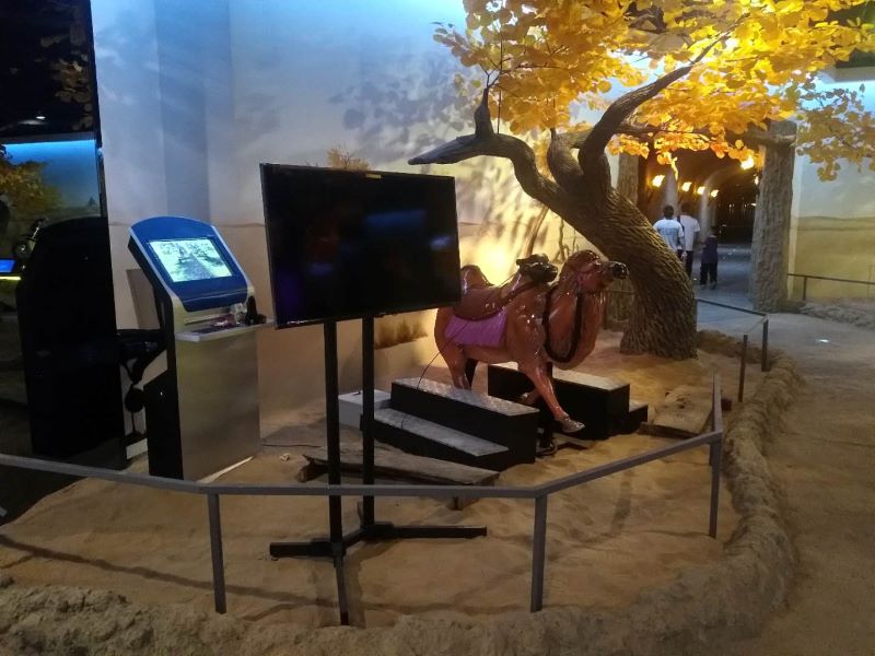 VR駱駝騎行體驗(yàn)